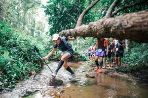 BIB: 
                            <button type="button" onclick="openModal(25373516)" class="btn btn-primary btn-sm float-right btn-popup" data-toggle="modal" data-target=".modal-high-quality">
                        <i class="fas fa-shopping-cart"></i> Add to Cart
                    </button>
                                            <button type="button" onclick="isThisMe(25373516, true)" class="btn btn-success btn-sm float-right btn-popup btn-isme hidden" data-toggle="tooltip" data-placement="bottom" title="นี่คือรูปของคุณใช่ไหม คลิกที่นี่เพื่อเอาเข้าอัลบั้ม">
                        <i class="fas fa-plus"></i> Add to album
                    </button>
                    <button type="button" onclick="isThisMe(25373516, false)" class="btn btn-warning btn-sm float-right btn-popup btn-isnotme hidden">
                        <i class="fas fa-ban"></i> Remove from album
                    </button>